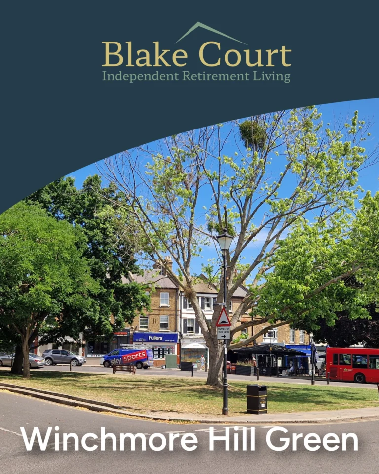 Instagram post from blake.court.ltd. This post is in position 1.