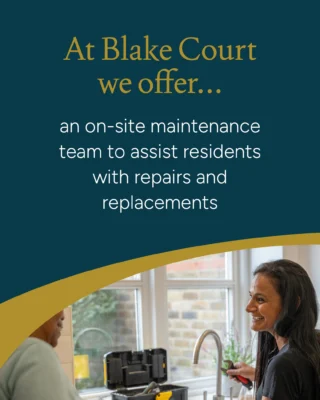 Instagram post from blake.court.ltd. This post is in position 4.