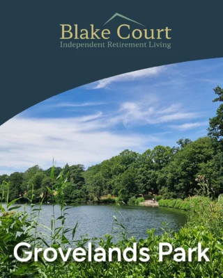 Instagram post from blake.court.ltd. This post is in position 3.